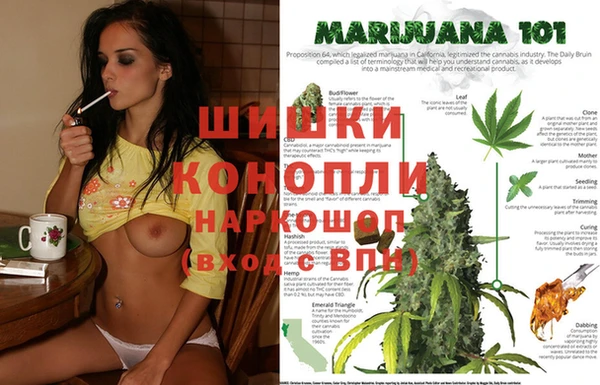 Альфа ПВП Горно-Алтайск