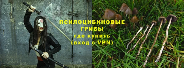 Альфа ПВП Горно-Алтайск