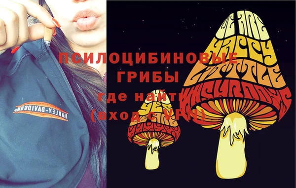 СК Горнозаводск