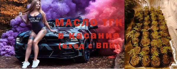 ECSTASY Горняк