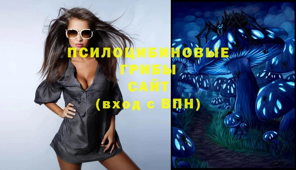 ECSTASY Горняк