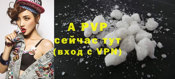 ECSTASY Горняк