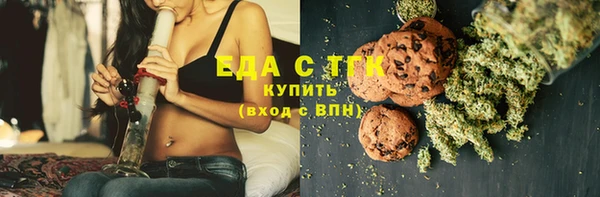 ECSTASY Горняк