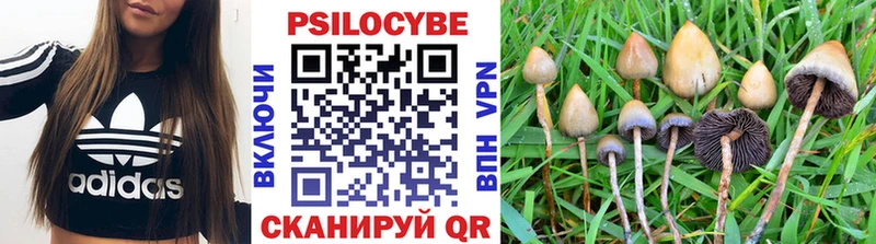Псилоцибиновые грибы Psilocybe  Судак 